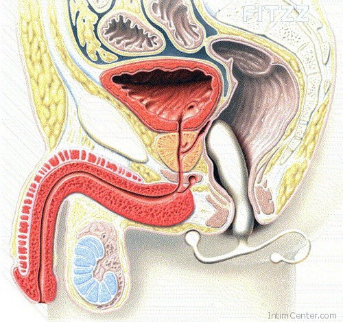 Prostatitis és retrográd ejakuláció